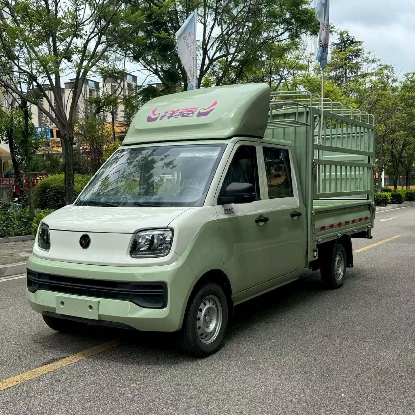 4x2 Double Cab Electric Stake Truck - urban delivery electric vehicle - light electric cargo truck