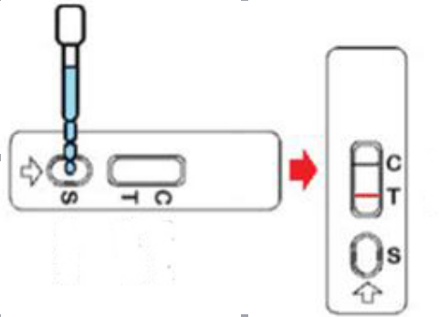 Золота наборов теста антитела бруцеллы обнаружение ветеринарного коллоидное быстрое для скотин