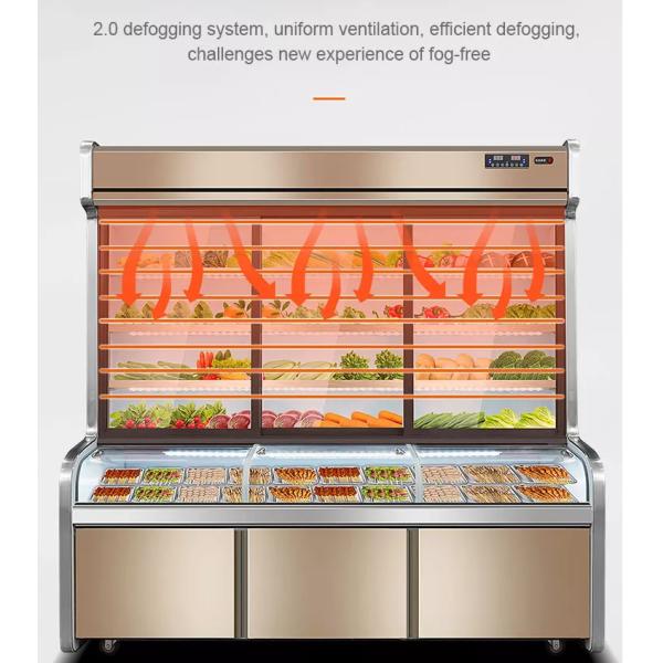 Fresh Vegetable Beverage Commercial Refrigerator Freezer Double Temperature