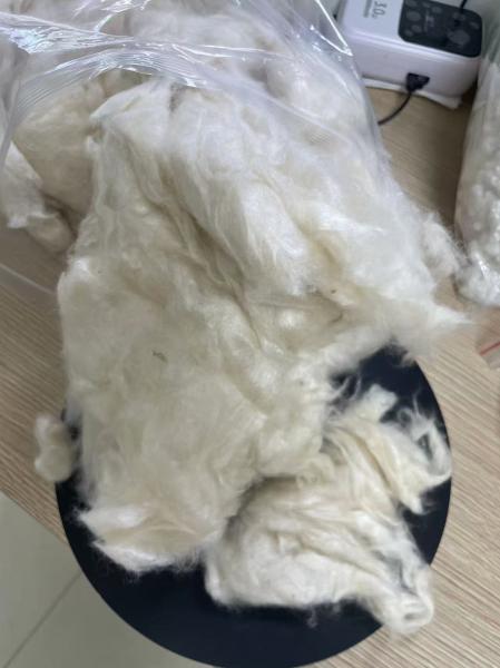 Strong and Durable Sustainable Kapok Fiber