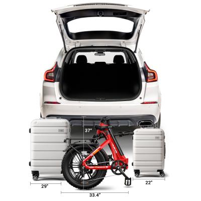 F008 48V 20 Foldable Fat Tire E-bike with Fashion Desgin 250W