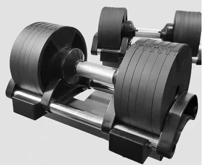 Befreeman Wholesale Hot Sale High Quality Gym Equipment Adjustable Dumbbell 36kg