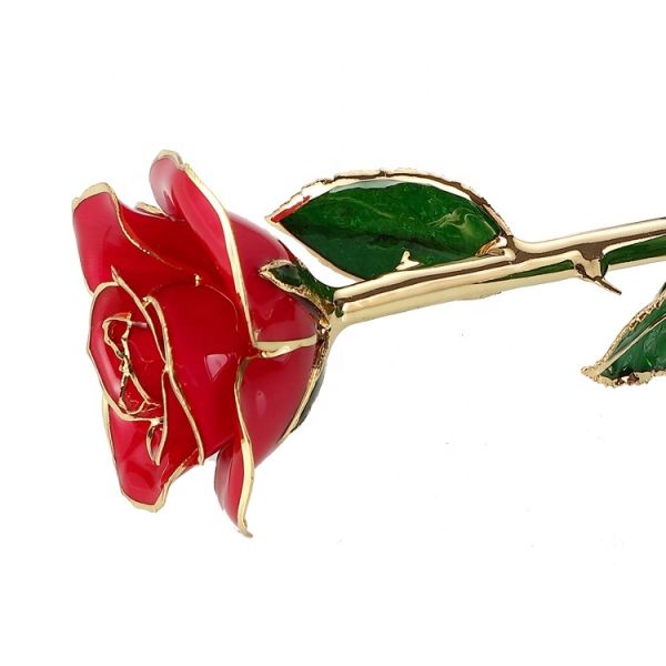 Wholesale  Gold Real Rose 24k Gold Plated Real Natural Rose for Valentine's Day and Christmas Gifts