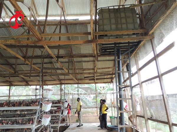 Тип 3 ярусы наслаивает звезду птиц 450cm2 клеток батареи 120 цыпленка