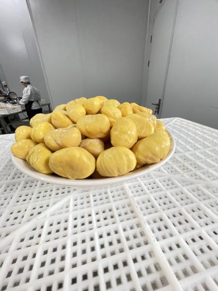 2025 New Crop Sweet Frozen Chestnuts Kernel for Sale