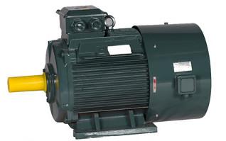 YE3 AC Induction motor , Three Phase Motor with Fully-enclosed and Fan Cooled Squirrel Cage