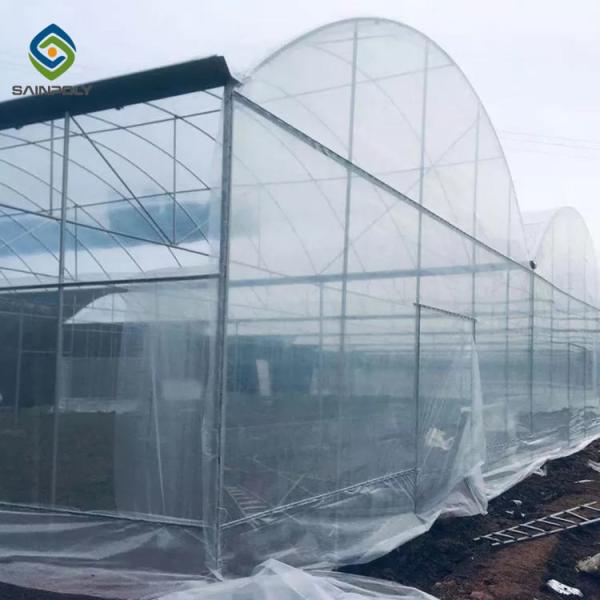 Multi Span Arch Plastic Film Greenhouse Tomato Strawberry Greenhouse Turnkey Project