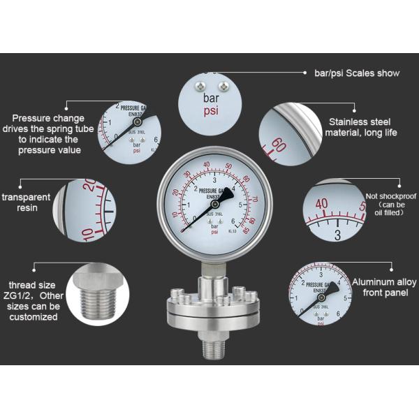 Thread G Connection 304 Stainless Steel Diaphragm Pressure Gauges for Hydraulic System
