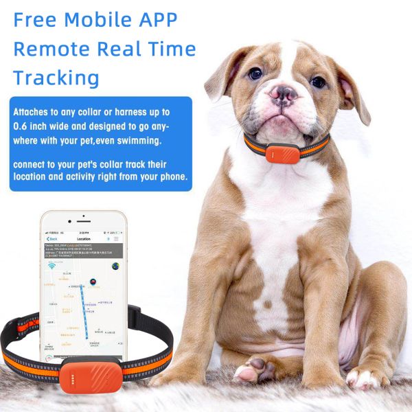 4G GPS Tracker for Dogs Cats Waterproof IP67 Real Time Tracking