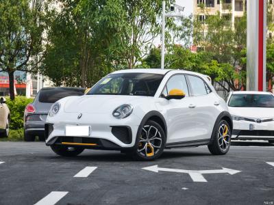 Euler Good Cat GT Chinese EV Cars 401KM Assisted Driving Level L2