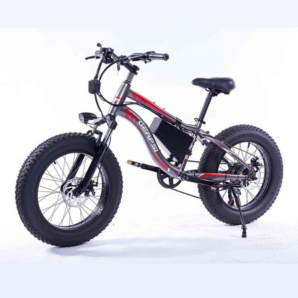 7 Speed Fat Tires Electric Bike 36V 10Ah Removable Lithium Ion Battery 350W Motor