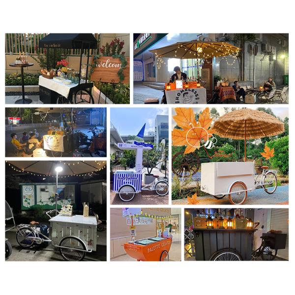 Mobile Electric Bicycle for Fast Food Portable Coffee Bike Flower Snack Selling Cart