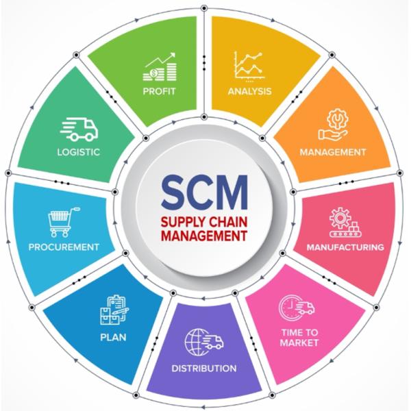 Efficiency Enhanced Comprehensive Supplier Management Solutions SCM Service