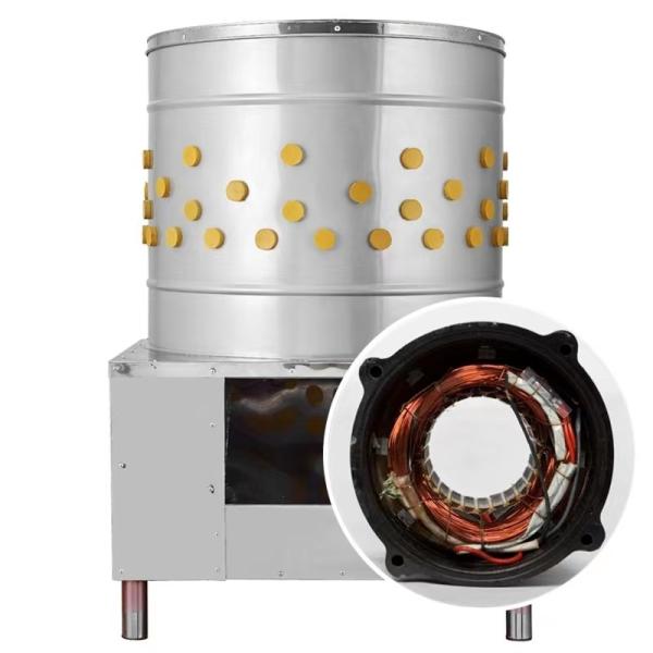 Plastic Chicken Machine Clean Poultry Plucking Machines Made In China