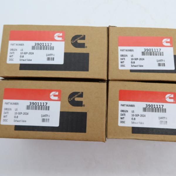 Cummins Original Quality Construction Machinery Spare Parts 3901117 Exhaust Valve