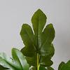 Real Touch 120cm Artificial Tree Bonsai Plant Fig Tree Ficus Carica Decorative Tree Artificial Plant Home Decor