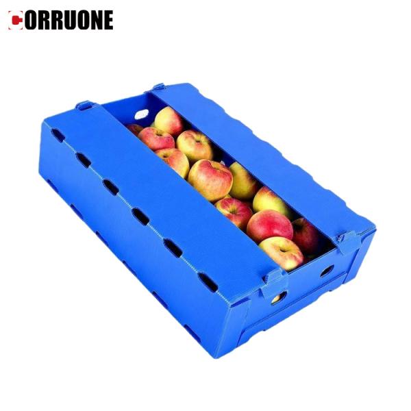 Коробка Recyclable сота полистироля упаковывая без крышки