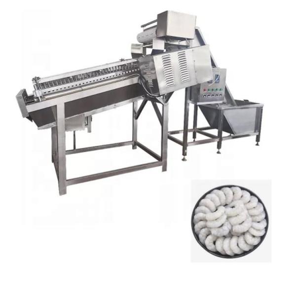 Peixes razoáveis de aço inoxidável da máquina de casca do camarão que descascam a máquina