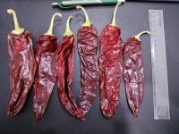 Paprika inteiro de pimenta vermelha grau A com 1