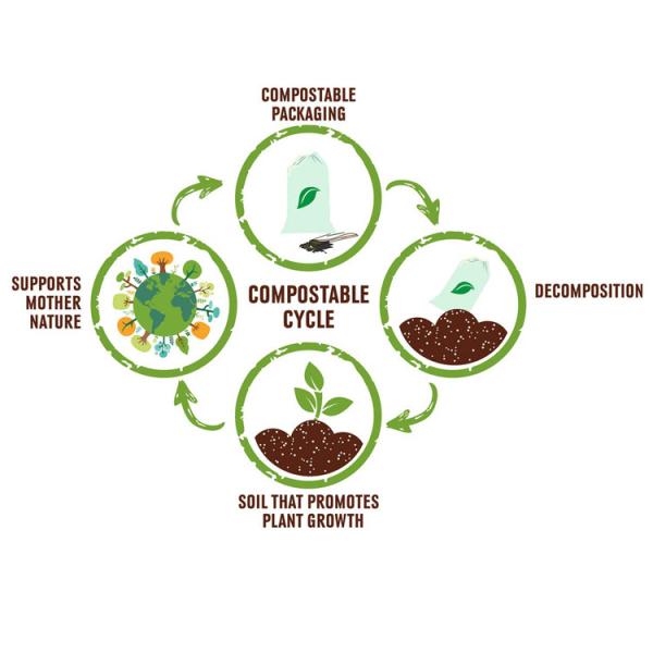 польза низкое MOQ хранения сумки льда 1.5mil поли упаковывая Biodegradable Compostable