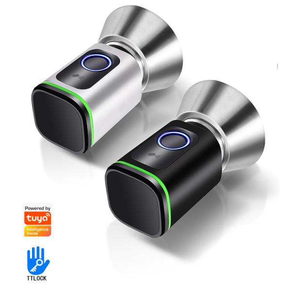 Easy Diy Install Smart System Tuya APP Door Lock Keyless Connected BLE Fingerprint Card