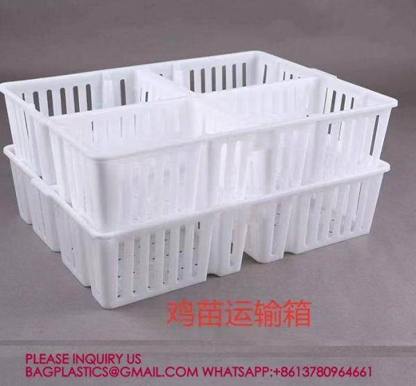 sustainable white chicken cage 680*490*160mm Virgin PP Transportation Chicken Cage