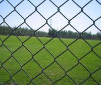 3m m cerca Pvc Coated Green 6x50 de la alambrada de 12 indicadores