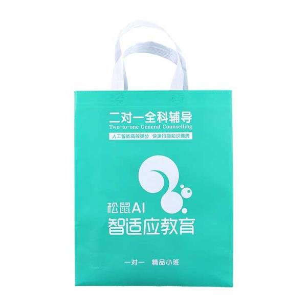 Supermarket PP Non Woven Grocery Bags 50Gsm Eco Friendly