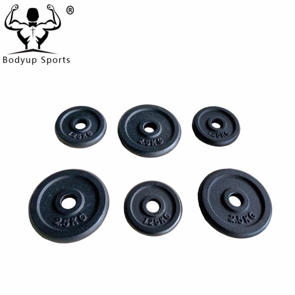 Black Paint Cast Iron Fitness Weight Plates Precise Weight For Weight Lifting