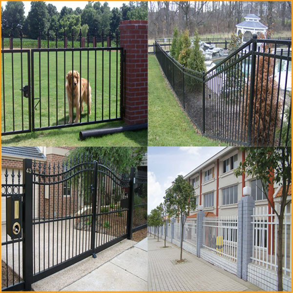 ornamental stainless steel garden fence design