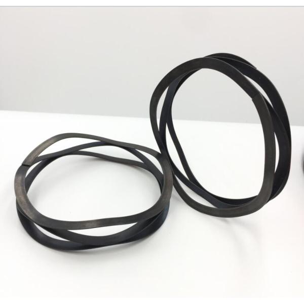 SS316 Stainless Steel Wave Spring