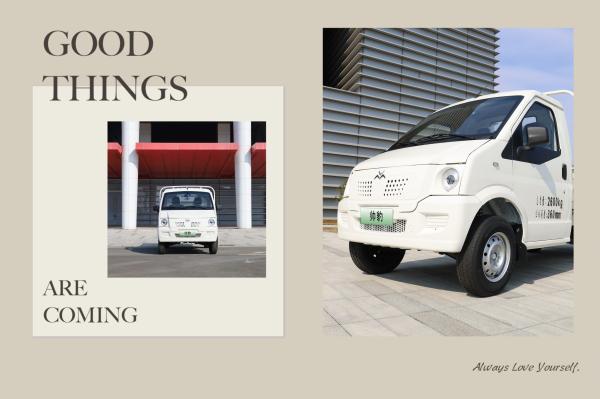 Enhanced Safety With Reverse Radar And Remote Monitoring In Electric Vehicle Vans