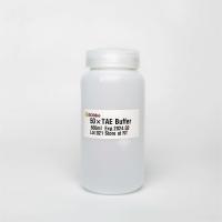 Tampon d'électrophorèse d'ADN de 10× Tae en gel M9022 500ml