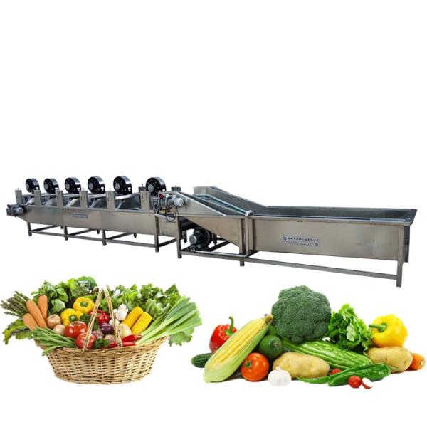 300kg/H Fruit Drying Grading Vegetable Washing Machine