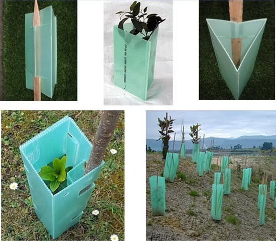 Corflute Tree Guard for Seedling Protection, Eco-Friendly Breathable Plant Protector, Durable Lightweight Weather-Resistant Tree Shelter for Healthy Growth and Pest Protection