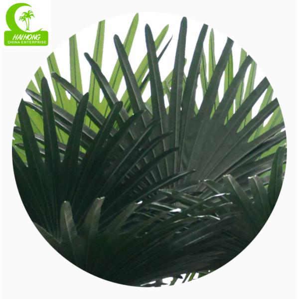 UV Resistance H700cm Artificial Tropical Tree , Fake Palm Plant Indoor