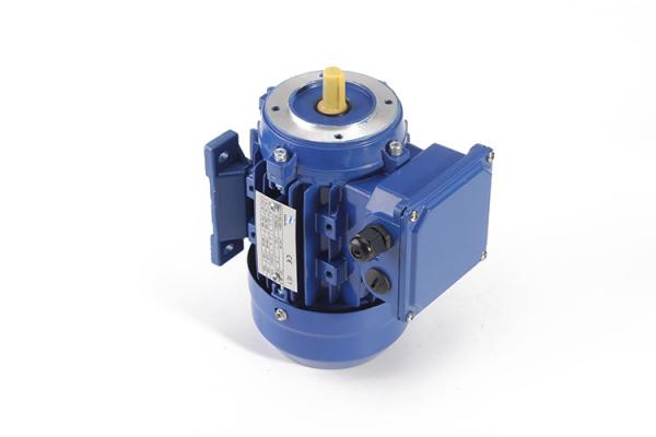 AC Electric 3 Phase Induction Motor FUJIAN MINDONG Motor 400V 50HZ Stainless Shaft