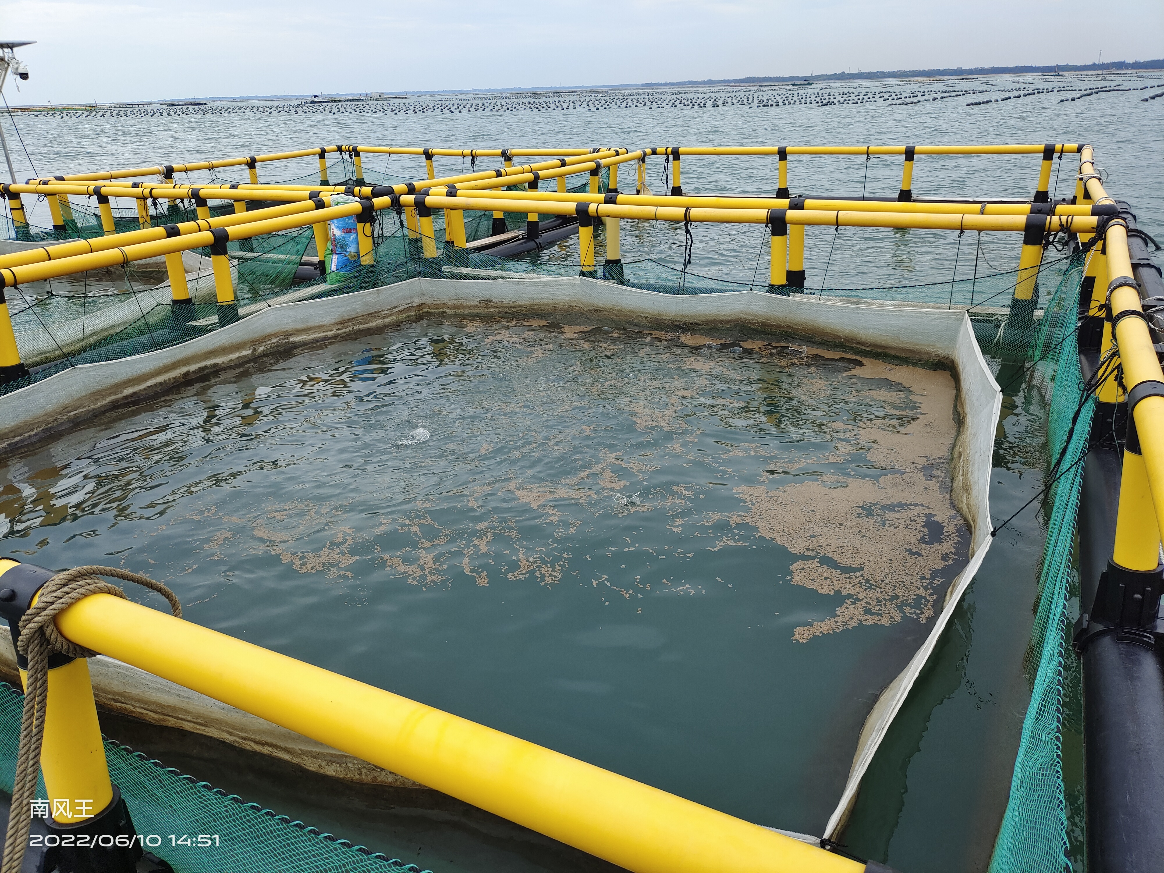 6m x 6m Square HDPE Fish Cage for Tilapia Farming with Multi-Cell Floating Net