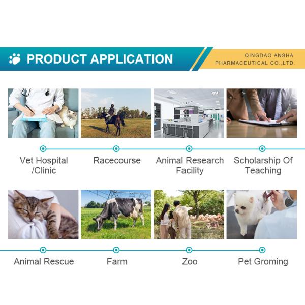 Manipulateur de la peau AZ 35W Extrait d' agrafeur chirurgicale jetable pour vétérinaire