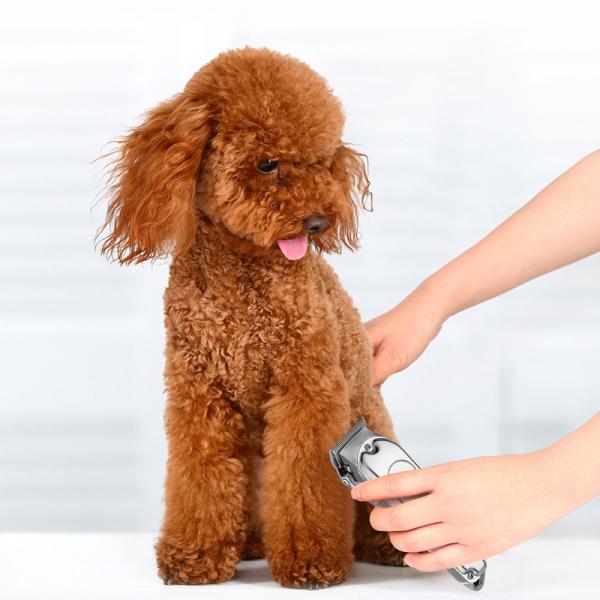 Low Noise Dog Grooming Kit Pet Clippers Cordless Electric Quiet Hair Trimmers Set