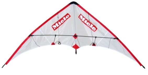 змеи нейлона 120x60cm качания 5bft изготовленные на заказ напечатанные