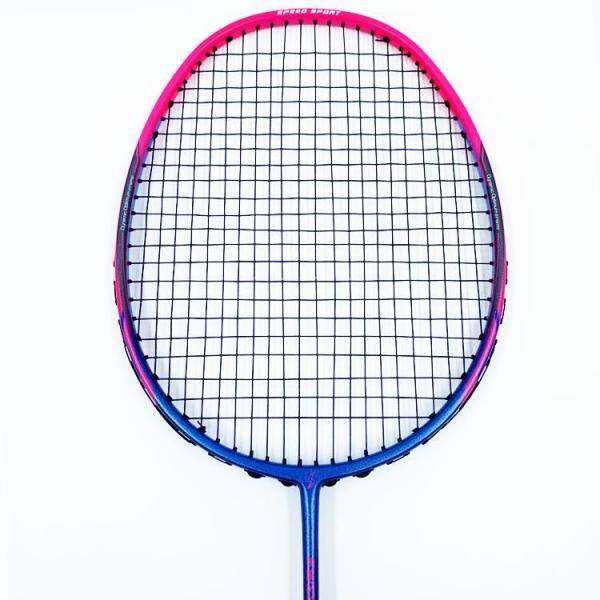 Dmantis D7 Model Wholesale Supply Training Equipment Badminton Racket for Professional Player Customiza