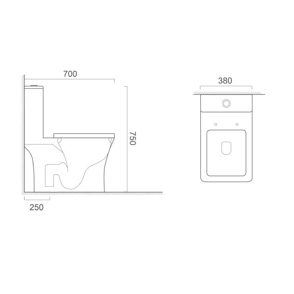 OEM Factory Dual Flush One Piece Toilets 380x700x750mm Orin OR8217 For Bathroom