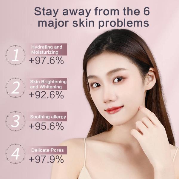Facial Steamer Moisturizer for Multifunctional SPA Equipment Standard GB4706.15-2008