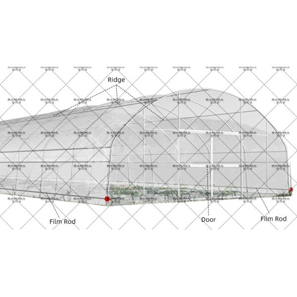 Roll Up Sides Ventilation Sustainable Hothouse High Tunnel Greenhouse for Farm