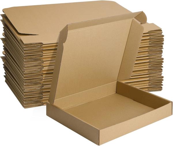 Brown Corrugated Cardboard Literature Mailer Box For Packaging, Mailing, Business Mailing Packing Literature Mailer
