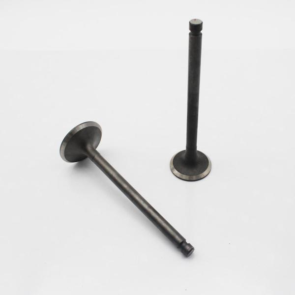 Вход клапана Мицубиси 4D31 6D31 выматывает ME011244 ME013810 прочное