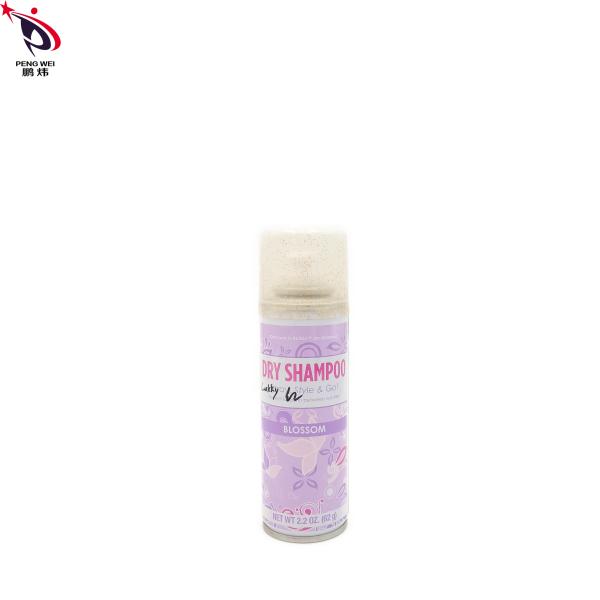 62g Shampoo Quick Dry Hair Spray Tasteless Nonflammable Practical