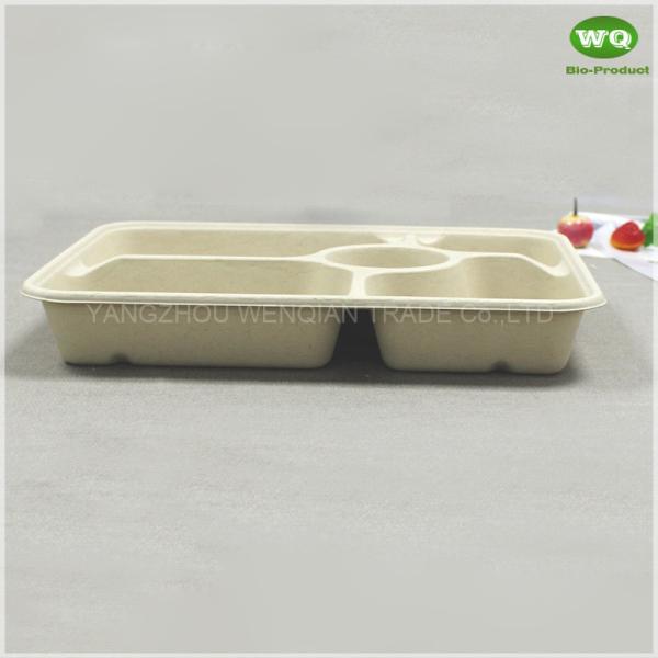 5-Coms Biodegradable Rectangle Tray With Lid-Convenient Easy green Bagasse Sugarcane Fiber Takeaway Packaging Contaienrs