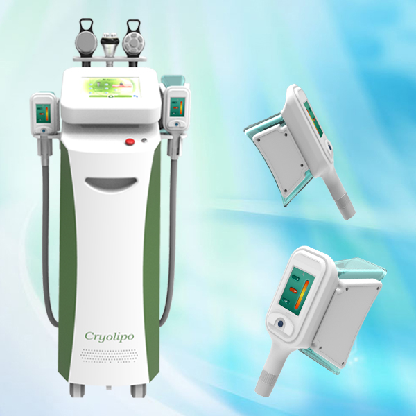 Cryolipolysis Slimming Machine fast slimming weight loss